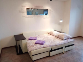 Люкс-апартаменты, Mytishchi, Mytishchi